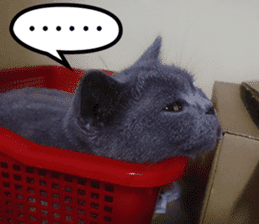 Aki's daily life sticker #13626987