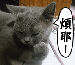 Aki's daily life sticker #13626988