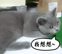 Aki's daily life sticker #13626989