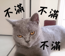 Aki's daily life sticker #13626990