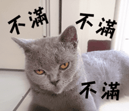 Aki's daily life sticker #13626990