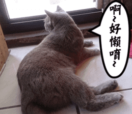 Aki's daily life sticker #13626991