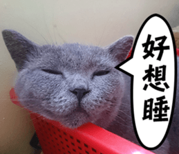 Aki's daily life sticker #13626992