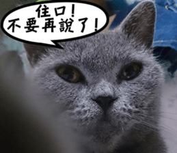 Aki's daily life sticker #13626993