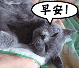 Aki's daily life sticker #13626994