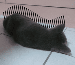 Aki's daily life sticker #13626996