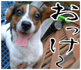 sticker of LARKO & LARK ver.0 sticker #13627982