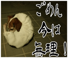 sticker of LARKO & LARK ver.0 sticker #13627991
