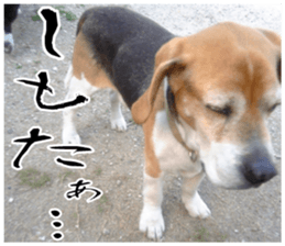 sticker of LARKO & LARK ver.0 sticker #13627994