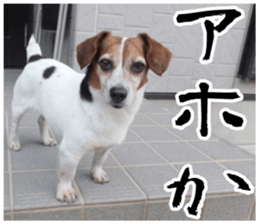 sticker of LARKO & LARK ver.0 sticker #13627996