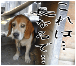 sticker of LARKO & LARK ver.0 sticker #13628001