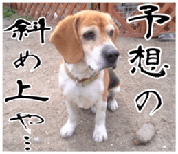 sticker of LARKO & LARK ver.0 sticker #13628003
