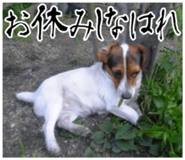 sticker of LARKO & LARK ver.0 sticker #13628004