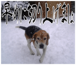 sticker of LARKO & LARK ver.0 sticker #13628006