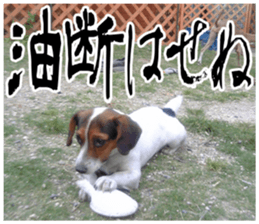 sticker of LARKO & LARK ver.0 sticker #13628008