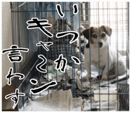 sticker of LARKO & LARK ver.0 sticker #13628015