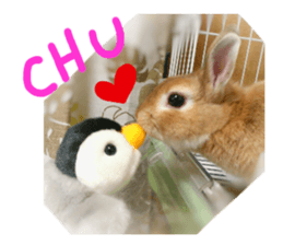 rabbit,maron sticker #13628294