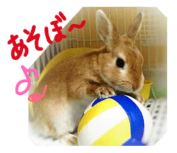 rabbit,maron sticker #13628298