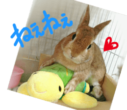 rabbit,maron sticker #13628304
