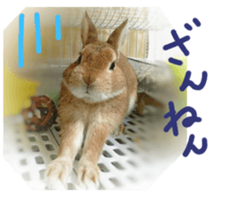 rabbit,maron sticker #13628309
