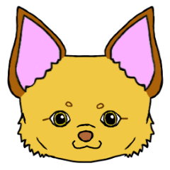 KATOMI,Mix of chihuahua and pinscher