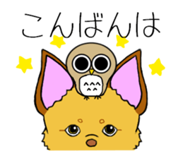 KATOMI,Mix of chihuahua and pinscher sticker #13628328