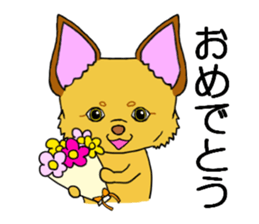 KATOMI,Mix of chihuahua and pinscher sticker #13628336
