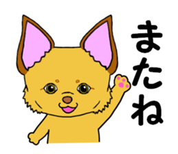 KATOMI,Mix of chihuahua and pinscher sticker #13628338