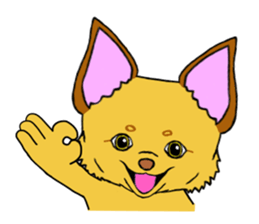 KATOMI,Mix of chihuahua and pinscher sticker #13628339