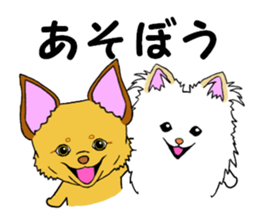 KATOMI,Mix of chihuahua and pinscher sticker #13628346