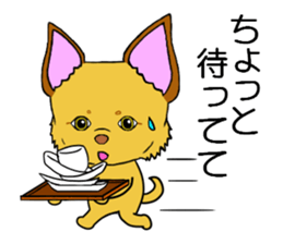 KATOMI,Mix of chihuahua and pinscher sticker #13628353