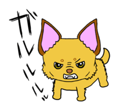 KATOMI,Mix of chihuahua and pinscher sticker #13628357