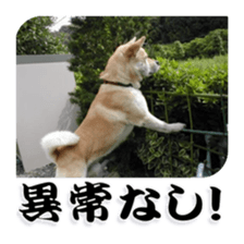 Potchan Pochipochi sticker #13628407