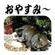 Potchan Pochipochi sticker #13628429