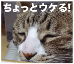 SHIMA KOBAYASHI of the second episode sticker #13629526