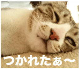 SHIMA KOBAYASHI of the second episode sticker #13629527