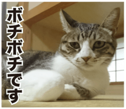 SHIMA KOBAYASHI of the second episode sticker #13629528