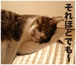 SHIMA KOBAYASHI of the second episode sticker #13629530