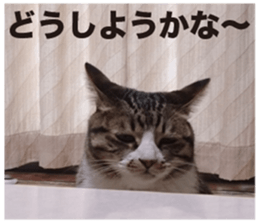 SHIMA KOBAYASHI of the second episode sticker #13629532