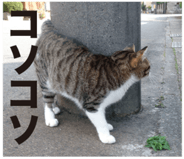 SHIMA KOBAYASHI of the second episode sticker #13629533