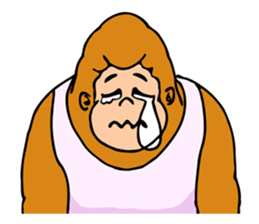 A funny gorilla's sticker sticker #13630624