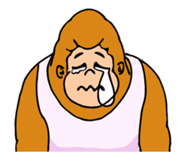 A funny gorilla's sticker sticker #13630624