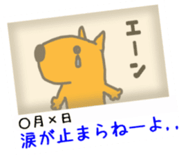 Poetry of capybara. -Photo version- sticker #13631315