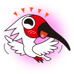 Japanese crested ibis Tokisa 2