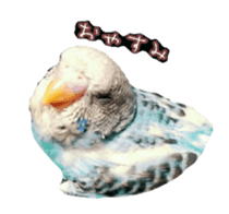 Wookey&momocan bird sticker2 sticker #13632127