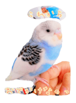 Wookey&momocan bird sticker2 sticker #13632128