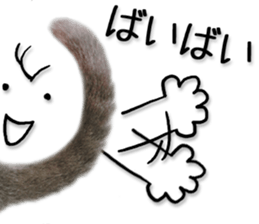 Laid-back cat(Photo) sticker #13632765