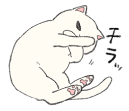 White Cat MOCHI sticker #13632990