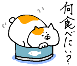 It is for consultation sticker #13633681