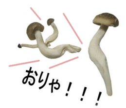 simejin1 sticker #13633830